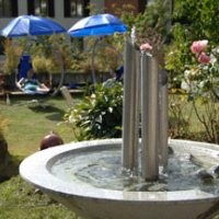 Tuin detail